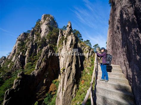 無錫至黃山：坐車攻略與旅途思考