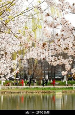 玉合公園怎麼樣 這是一個隱藏在都市中的綠意秘境